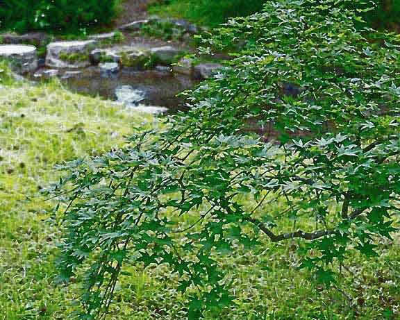 芦屋プラン株式会社 宇治市植物公園